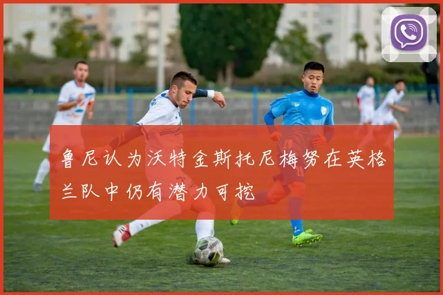 鲁尼认为沃特金斯托尼梅努在英格兰队中仍有潜力可挖
